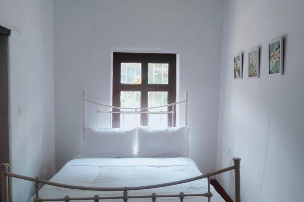 A Quaint Cottage With Rajah'S Seat View. Madikeri Bagian luar foto