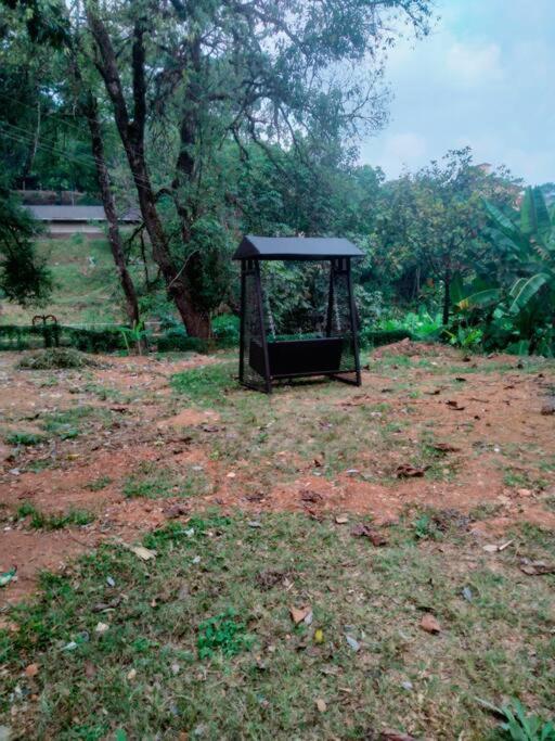 A Quaint Cottage With Rajah'S Seat View. Madikeri Bagian luar foto
