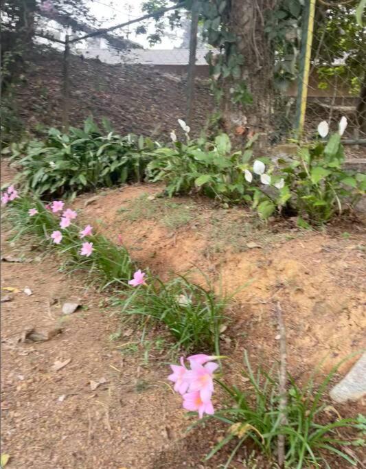 A Quaint Cottage With Rajah'S Seat View. Madikeri Bagian luar foto
